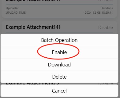 image-20250605104947086