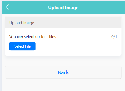 image-20250605165242228