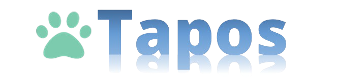 Preschool Website & Management System 99